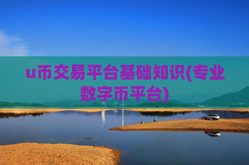 u币交易平台基础知识(专业数字币平台)