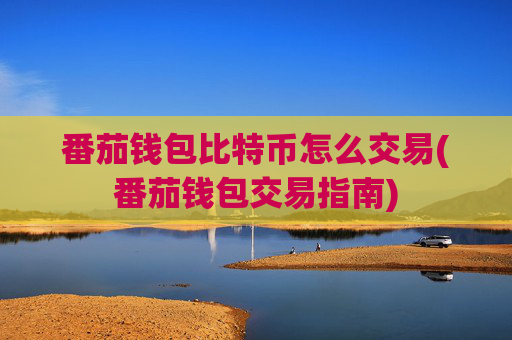 番茄钱包比特币怎么交易(番茄钱包交易指南)