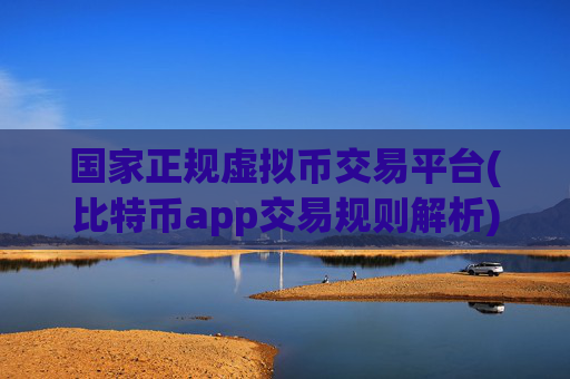 国家正规虚拟币交易平台(比特币app交易规则解析)