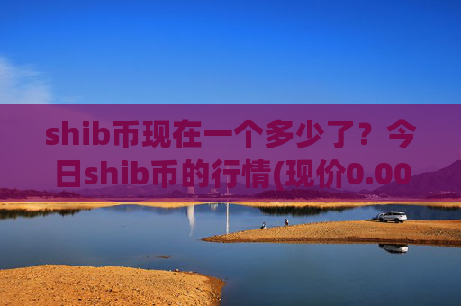 shib币现在一个多少了？今日shib币的行情(现价0.00022008元)