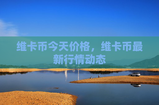 维卡币今天价格，维卡币最新行情动态