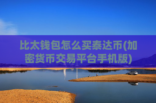 比太钱包怎么买泰达币(加密货币交易平台手机版)