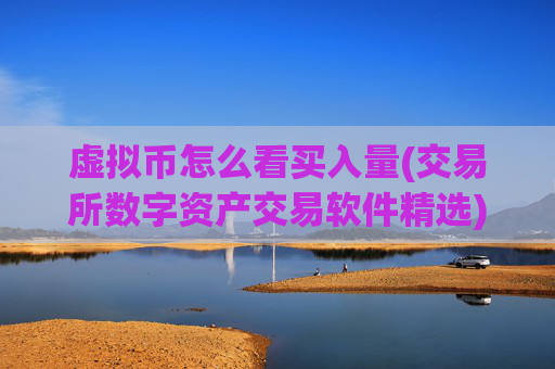 虚拟币怎么看买入量(交易所数字资产交易软件精选)