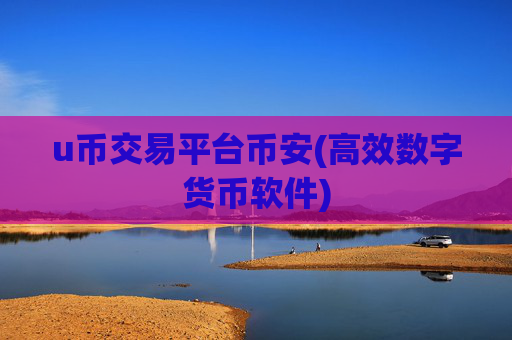 u币交易平台币安(高效数字货币软件)