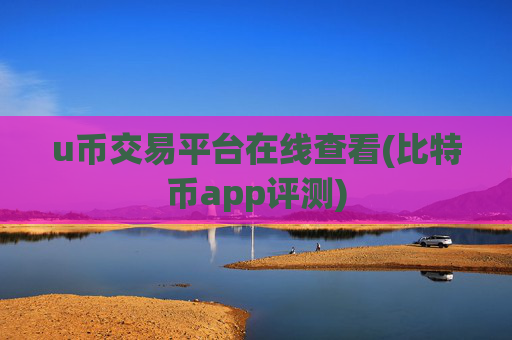 u币交易平台在线查看(比特币app评测)