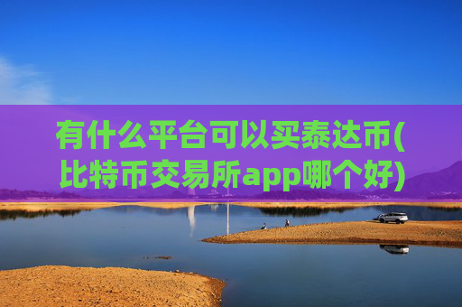 有什么平台可以买泰达币(比特币交易所app哪个好)