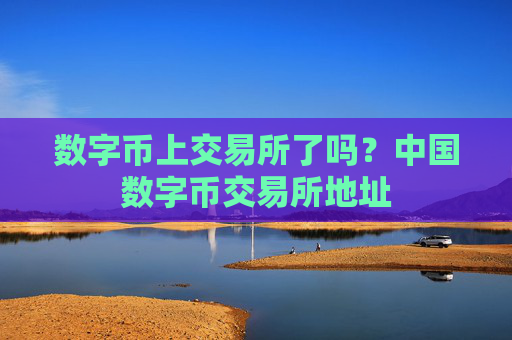 数字币上交易所了吗？中国数字币交易所地址
