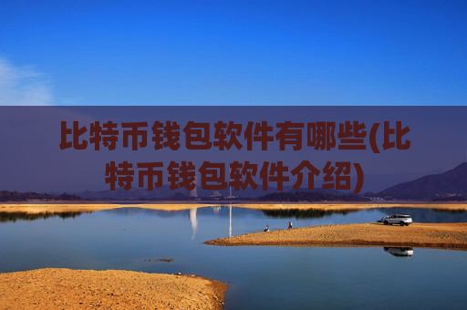 比特币钱包软件有哪些(比特币钱包软件介绍)