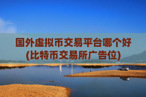 国外虚拟币交易平台哪个好(比特币交易所广告位)