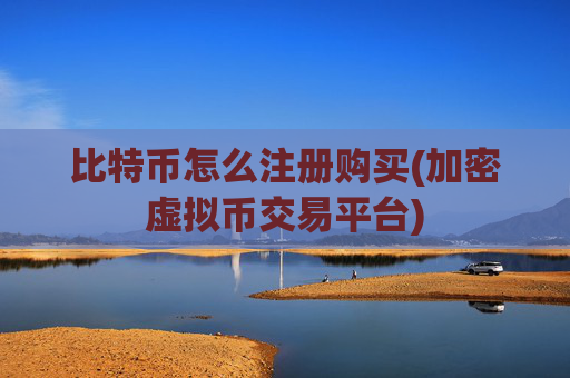 比特币怎么注册购买(加密虚拟币交易平台)