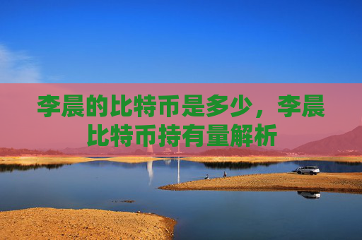 李晨的比特币是多少，李晨比特币持有量解析