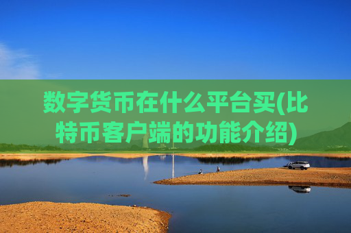 数字货币在什么平台买(比特币客户端的功能介绍)