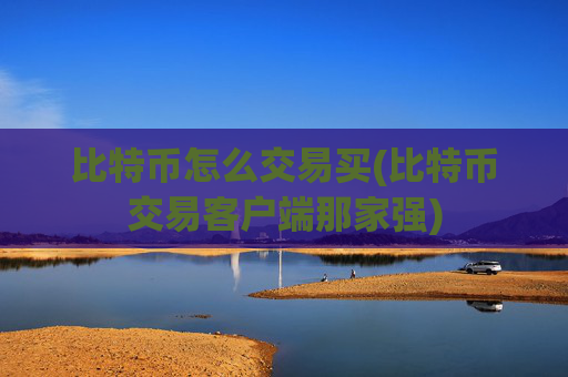 比特币怎么交易买(比特币交易客户端那家强)