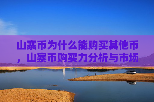 山寨币为什么能购买其他币，山寨币购买力分析与市场影响