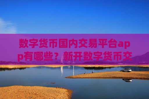 数字货币国内交易平台app有哪些？新开数字货币交易网站