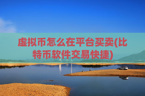 虚拟币怎么在平台买卖(比特币软件交易快捷)