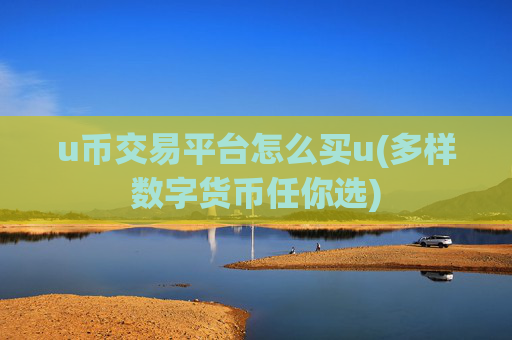 u币交易平台怎么买u(多样数字货币任你选)