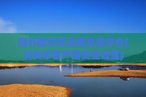 国外数字币正规交易平台(比特币客户端安全设置)