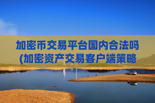 加密币交易平台国内合法吗(加密资产交易客户端策略)