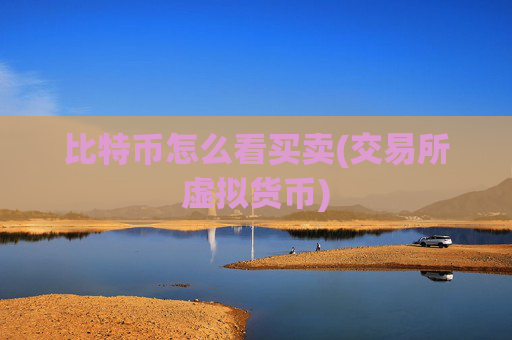 比特币怎么看买卖(交易所虚拟货币)