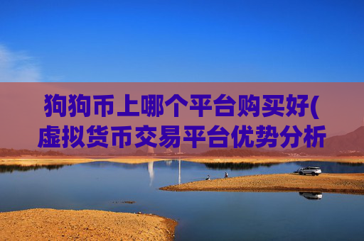 狗狗币上哪个平台购买好(虚拟货币交易平台优势分析)