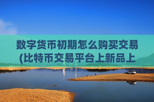 数字货币初期怎么购买交易(比特币交易平台上新品上线)