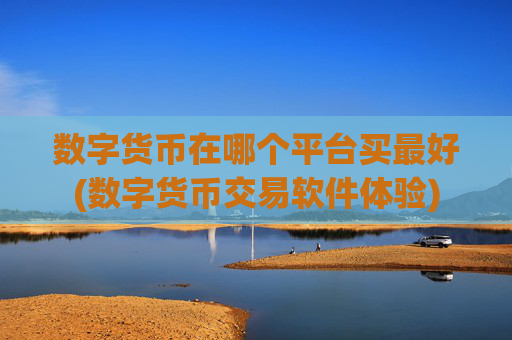 数字货币在哪个平台买最好(数字货币交易软件体验)
