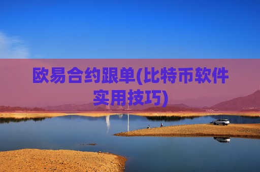 欧易合约跟单(比特币软件实用技巧)