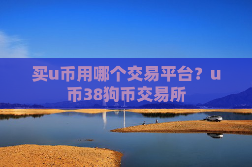 买u币用哪个交易平台？u币38狗币交易所