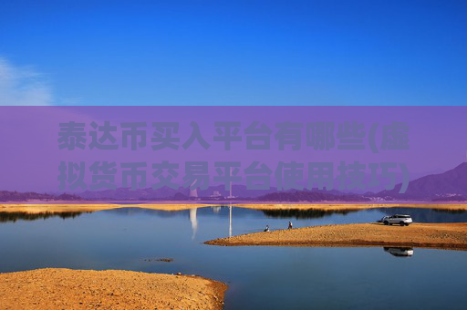 泰达币买入平台有哪些(虚拟货币交易平台使用技巧)