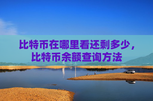 比特币在哪里看还剩多少，比特币余额查询方法