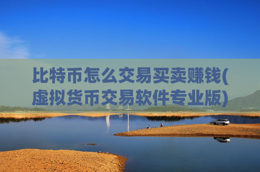 比特币怎么交易买卖赚钱(虚拟货币交易软件专业版)