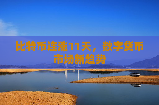 比特币连涨11天，数字货币市场新趋势