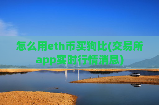 怎么用eth币买狗比(交易所app实时行情消息)