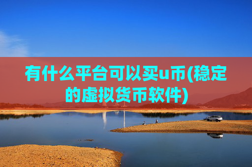 有什么平台可以买u币(稳定的虚拟货币软件)