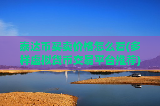 泰达币买卖价格怎么看(多样虚拟货币交易平台推荐)