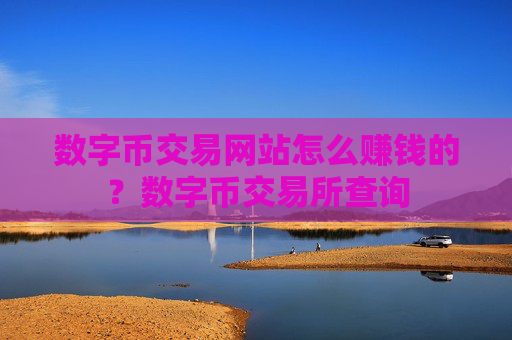 数字币交易网站怎么赚钱的？数字币交易所查询