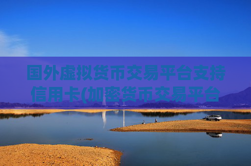国外虚拟货币交易平台支持信用卡(加密货币交易平台导航)