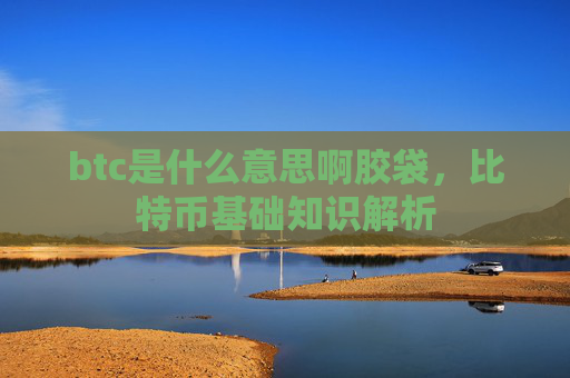 btc是什么意思啊胶袋，比特币基础知识解析