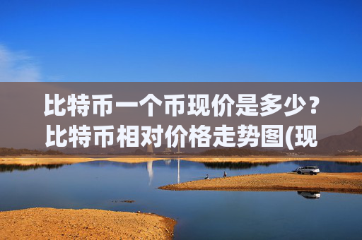 比特币一个币现价是多少？比特币相对价格走势图(现价697674.63元)