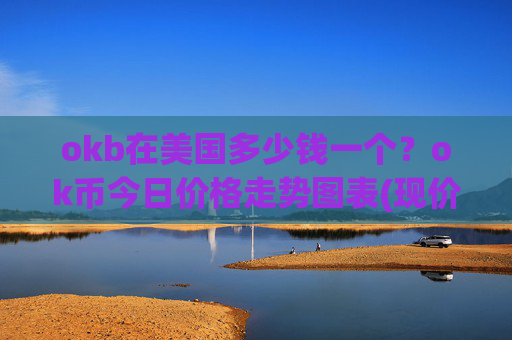 okb在美国多少钱一个？ok币今日价格走势图表(现价328.531元)