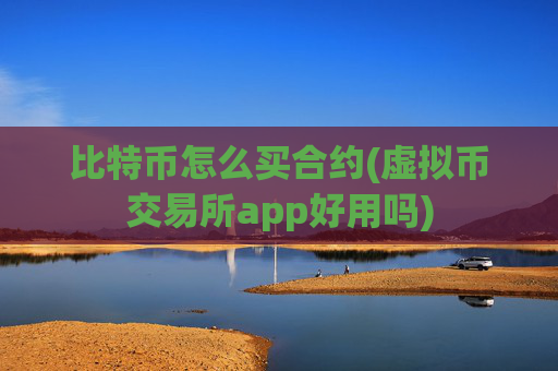 比特币怎么买合约(虚拟币交易所app好用吗)