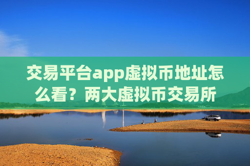 交易平台app虚拟币地址怎么看？两大虚拟币交易所