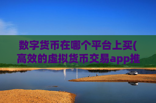数字货币在哪个平台上买(高效的虚拟货币交易app推荐)