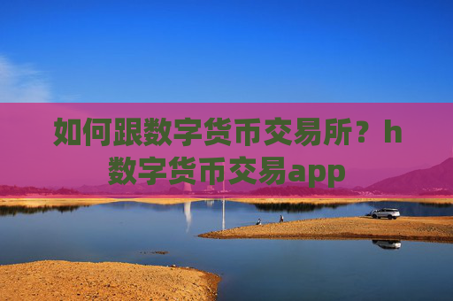 如何跟数字货币交易所？h数字货币交易app