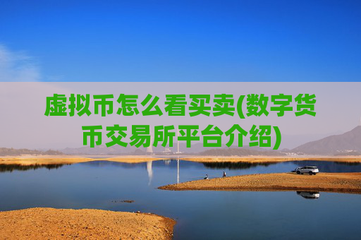 虚拟币怎么看买卖(数字货币交易所平台介绍)