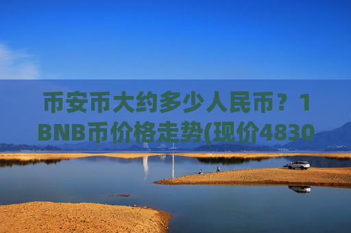 币安币大约多少人民币？1BNB币价格走势(现价4830.21元)