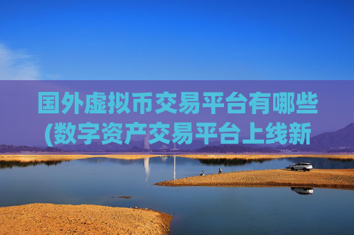 国外虚拟币交易平台有哪些(数字资产交易平台上线新功能)