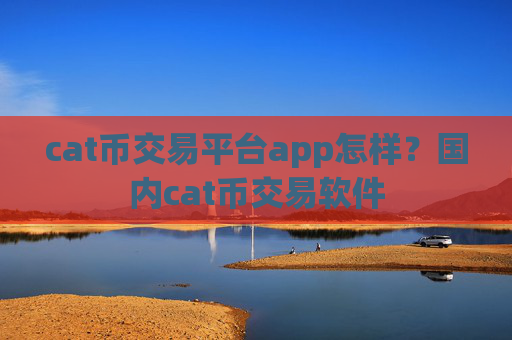 cat币交易平台app怎样？国内cat币交易软件