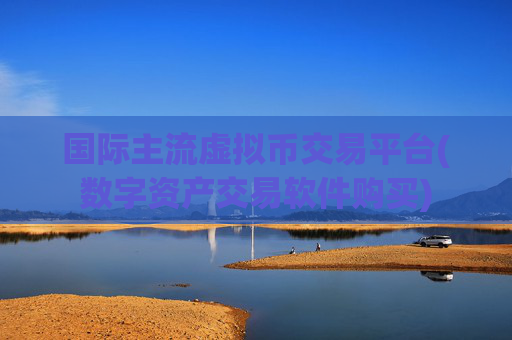 国际主流虚拟币交易平台(数字资产交易软件购买)